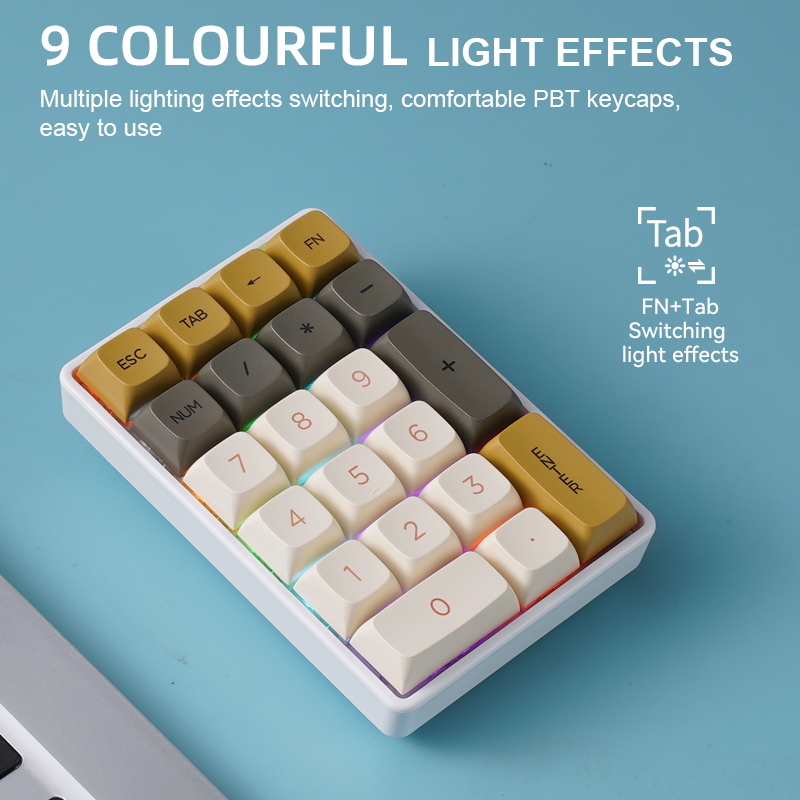 Klawiatura numeryczna mechanic – Keyboard Numpad Separate recenzja i cena